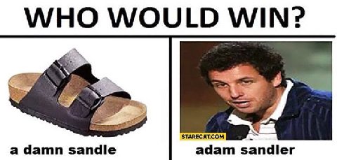 WHO WOULD WIN? 24 STARECAT.COM a damn sandle adam sandler