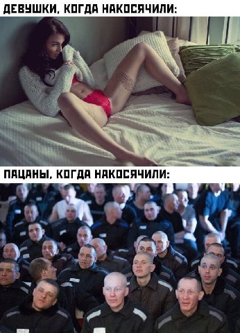 ДЕВУШКИ, НАКОСЯЧИЛИ: ПАЦАНЫ, КОГДА НАКОСЯЧИЛИ: 3