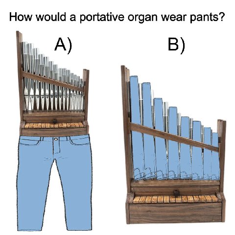 How would а portative organ wear pants? В) у i