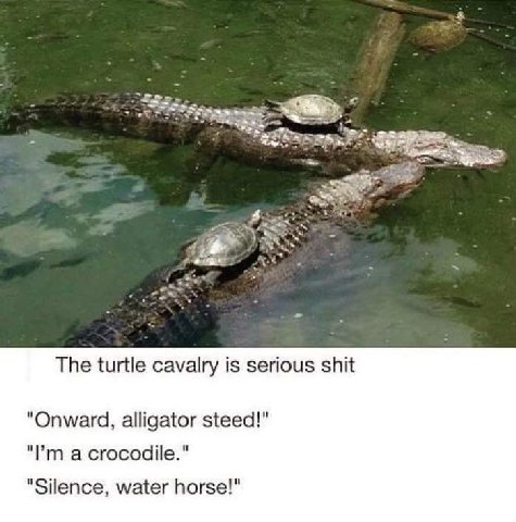 The turtle cavalry is serious shit "Onward, alligator steed!" а "Silence, water horse!"