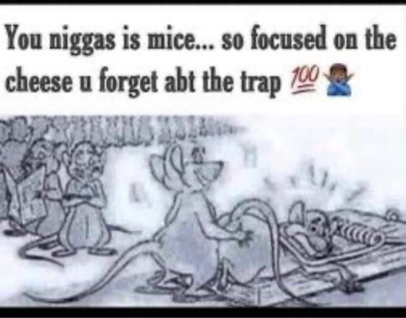 You niggas is mice... so focused on the cheese и forget abt the trap or INNS