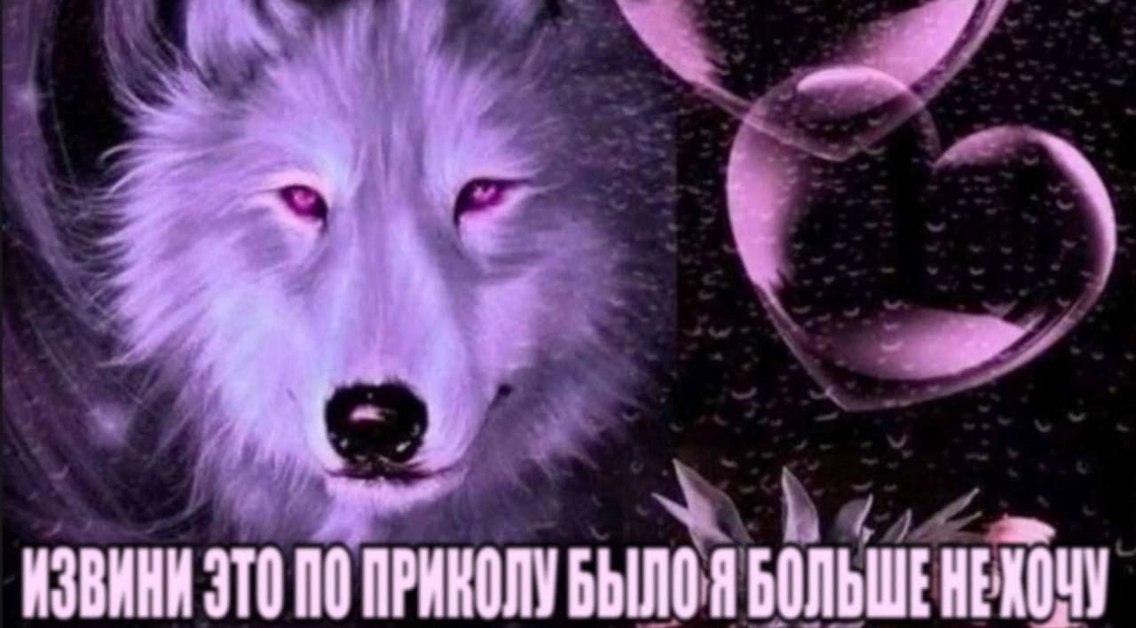 ИЗВИНИЗТО ПО ПРИКОЛУ БОЛЬШЕНЕХОЧУ