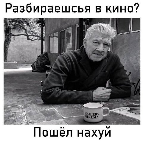 Разбираешсья в кино? a i Пошёл нахуй.