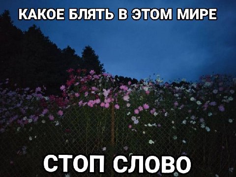 КАКОЕ БЛЯТЬ В ЭТОМ МИРЕ СТОП СЛОВО