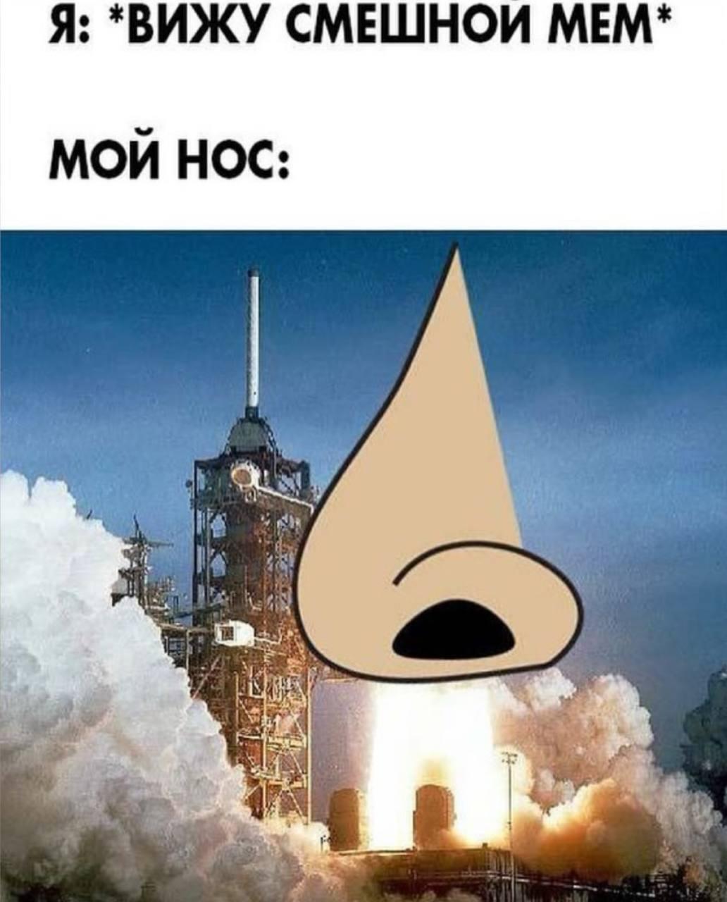 Я: *ВИЖУ СМЕШНОИ МЕМ* МОИ НОС: 4