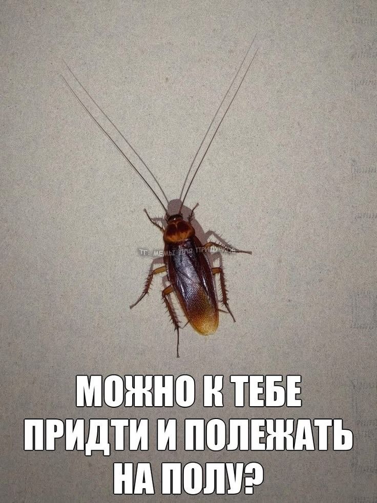 МОЖНО ТЕБЕ ПОЛЕЖАТЬ НА
