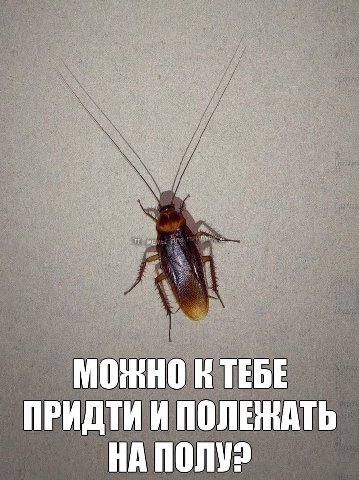 МОЖНО ТЕБЕ ПОЛЕЖАТЬ НА