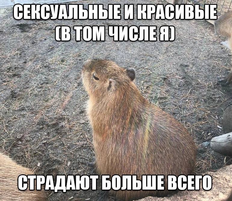 ACKB СЕКСУАЛ (В 2 4. и a и a 4 if a Vea Я A 5 of ЕГО СТР ЮТБОЛЬШЕ АДА