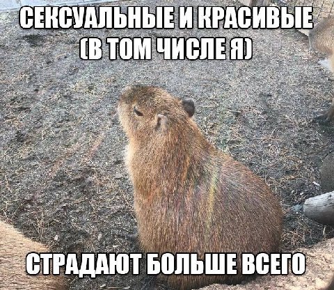 ACKB СЕКСУАЛ (В 2 4. и a и a 4 if a Vea Я A 5 of ЕГО СТР ЮТБОЛЬШЕ АДА