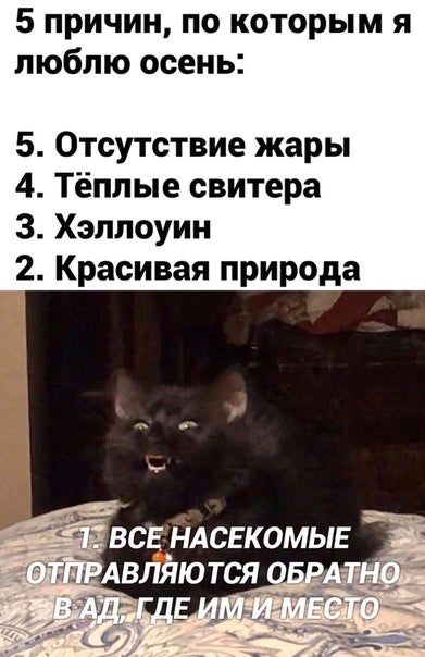 5 причин, по которым я люблю осень 5. Отсутствие жары 4. Теплые свитера 3. Хэллоуин 2. Красивая природа BCE НАСЕКОМЫЕ ЮТСЯ