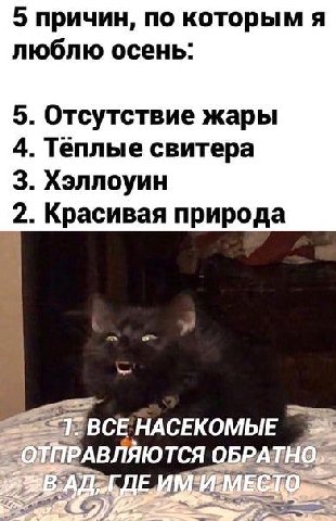 5 причин, по которым я люблю осень 5. Отсутствие жары 4. Теплые свитера 3. Хэллоуин 2. Красивая природа BCE НАСЕКОМЫЕ ЮТСЯ