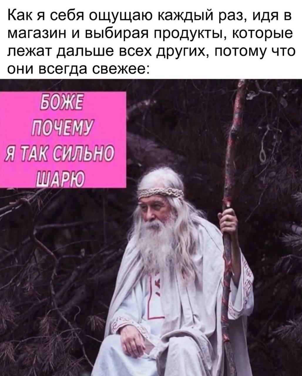 Как я себя ощущаю каждый раз, идя в магазин и выбирая продукты, которые лежат дальше всех других, потому что они всегда свежее: БОЖЕ ПОЧЕМУ Я ТАК СИЛЬНО ШАРЮ Ж