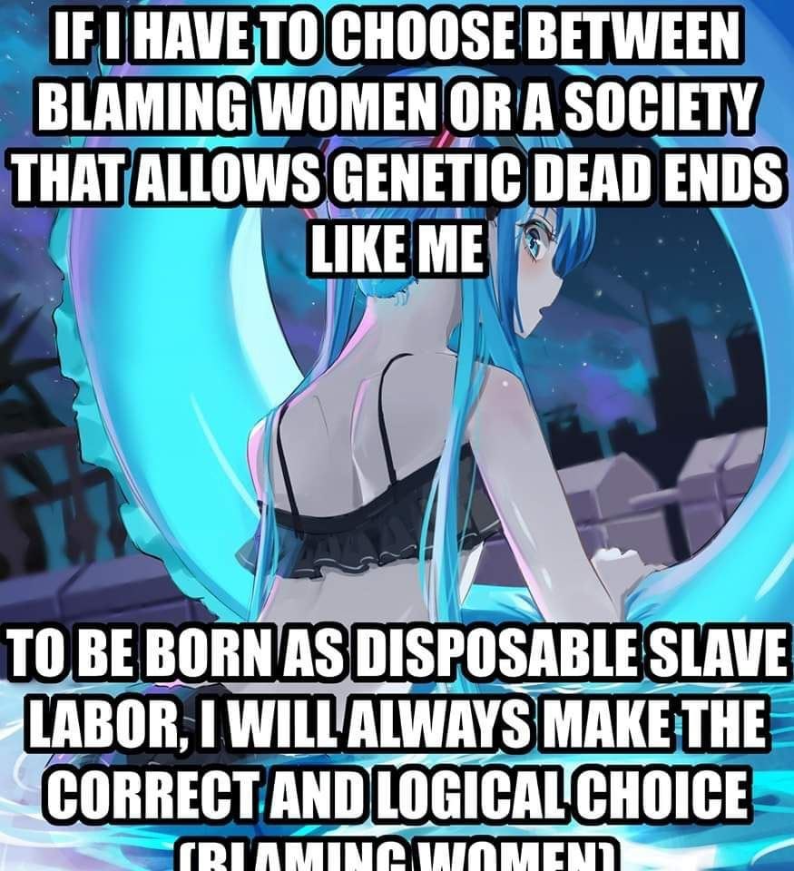 НАМЕТО CHOOSE BETWEEN BLAMING WOMEN OR A SOCIETY THAT ALLOWS GENETIC DEAD ENDS BE BORN AS DISPOSABLE SLAVE MAKE THE CORRECT AND 4