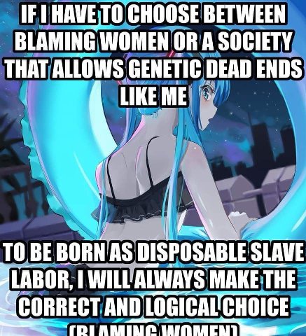 НАМЕТО CHOOSE BETWEEN BLAMING WOMEN OR A SOCIETY THAT ALLOWS GENETIC DEAD ENDS BE BORN AS DISPOSABLE SLAVE MAKE THE CORRECT AND 4