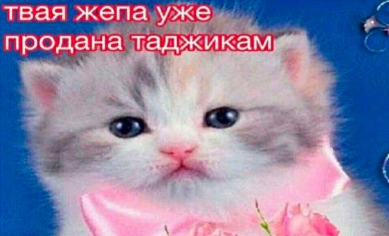 твая жепа уже продана таджикам