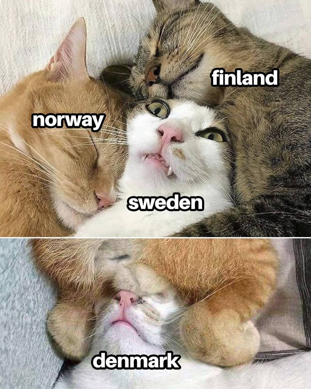 ‘3 finland norway swe den “a denmark: