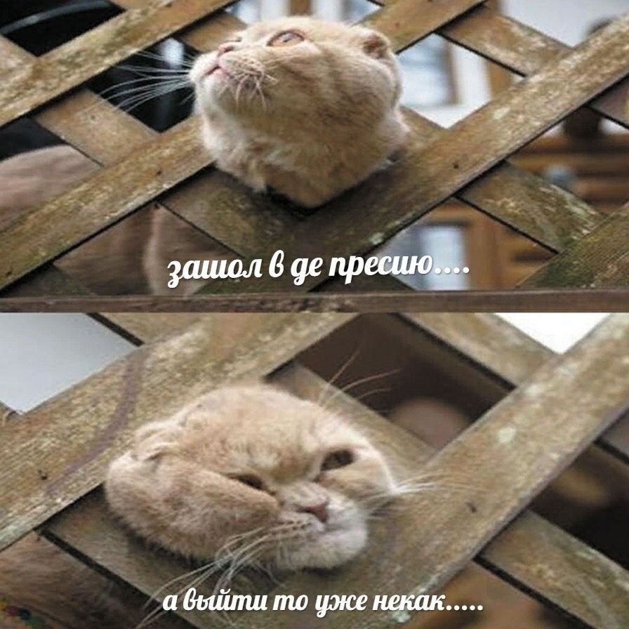 зашол 6 пресиюк.. а то уже некак.....