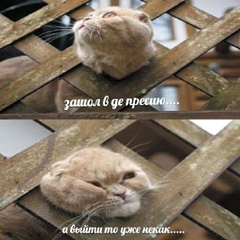 зашол 6 пресиюк.. а то уже некак.....