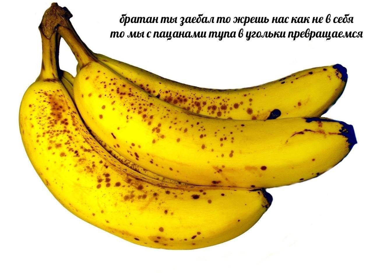 братан ты заебал то жрешь нас как не 6 себя то мы с пацанами тула 6 угольки преврашаемся и.