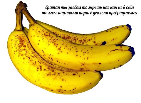 братан ты заебал то жрешь нас как не 6 себя то мы с пацанами тула 6 угольки преврашаемся и.