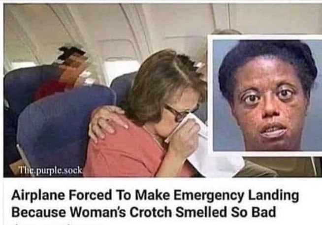 Airplane Forced То Make Emergency Landing Because Crotch Smelied So Bad