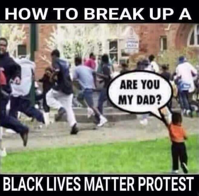 НОМ/ BREAK UP A BLACK LIVES MATTER PROTEST