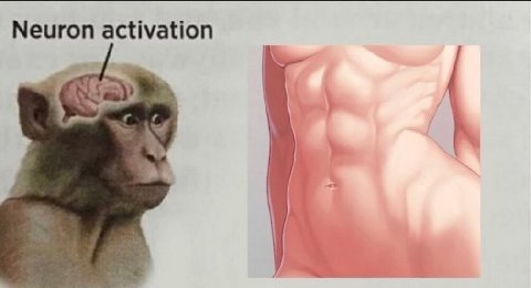 Neuron activation cen