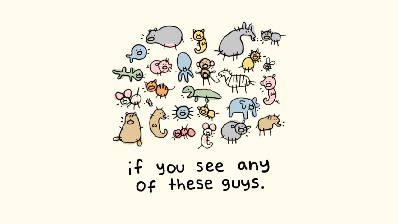 A if you see any of these