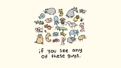 A if you see any of these