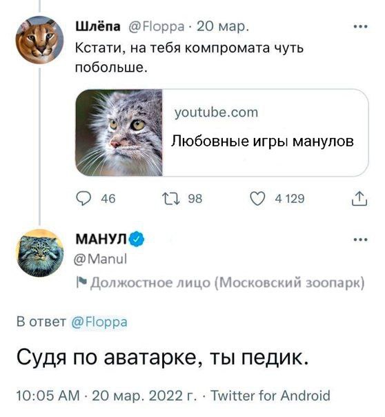 Шлёпа 20 мар. Кстати, на тебя компромата чуть побольше. youtube.com Любовные игры манулов 98 (7 4129 aS МАНУЛ @Manul Должостное лицо (Московский зоопарк) В ответ @Норра Судя по аватарке, ты педик. 10: