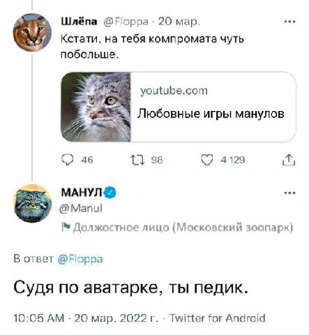 Шлёпа 20 мар. Кстати, на тебя компромата чуть побольше. youtube.com Любовные игры манулов 98 (7 4129 aS МАНУЛ @Manul Должостное лицо (Московский зоопарк) В ответ @Норра Судя по аватарке, ты педик. 10: