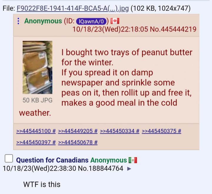 File: (102 Anonymous (10: [+1 10/18/23(Wed)22:18:05 No.445444219 bought two trays of peanut butter for the winter. If you spread it on damp newspaper and sprinkle some peas on it, then rollit up and f