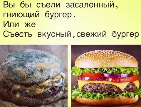 Вы бы съели засаленный, гниющий бургер. Или же Съесть вкусный свежий бургер