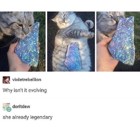 "7 a <2 Зее 4 у к A violetrebellion Why isn't it evolving doritdew she already legendary