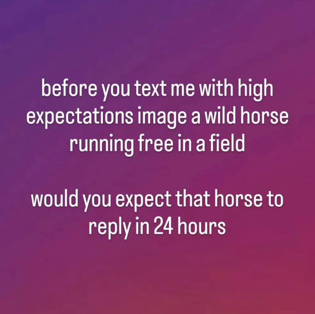 before you text me with high expectations image a wild horse running free ina field would you expect that horse to reply in 24 hours