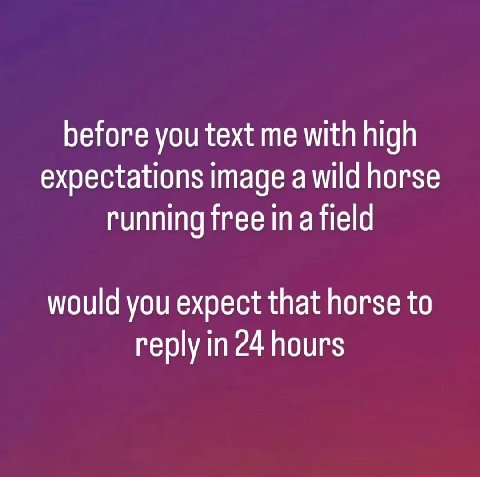 before you text me with high expectations image a wild horse running free ina field would you expect that horse to reply in 24 hours