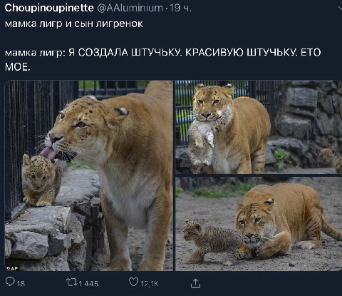 вощето лилигренок