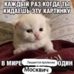 РАЗ КОГДА ТЫ. КИДАЕШЬ, ЭТУ КАРТИНКУ В 0 ДИН