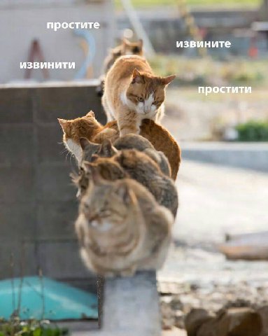 простите извините извинити простити