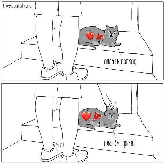 напоминаю что ❤️🥩невозможно погладить😔