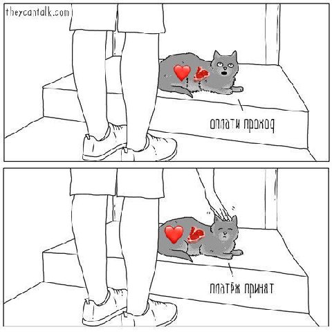 напоминаю что ❤️🥩невозможно погладить😔