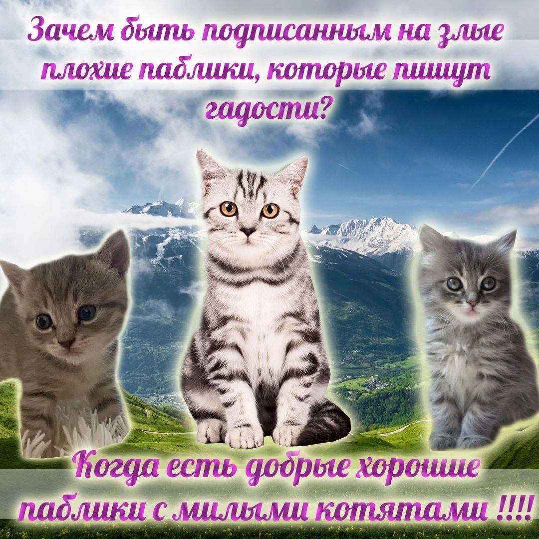 (+которые пишут гадости)
