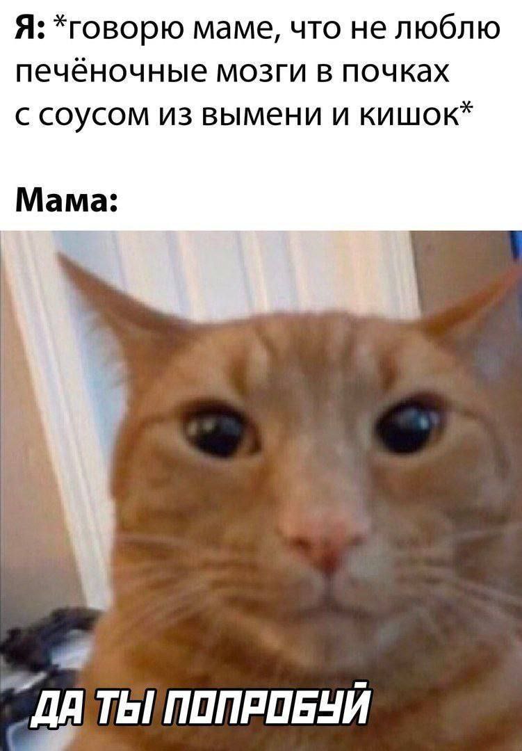 Я: *говорю маме, что не люблю печёночные мозги в почках с соусом из вымени и кишок* Мама: