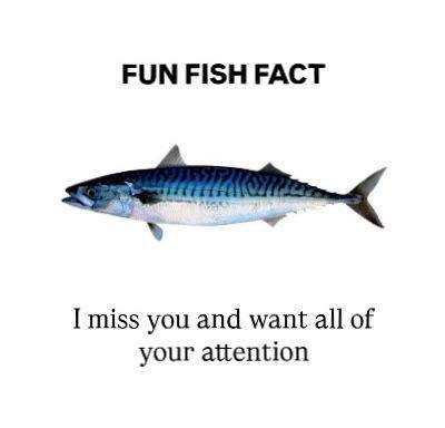 FUN FISH РАСТ I miss you and want all of your attention