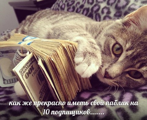 Трустори