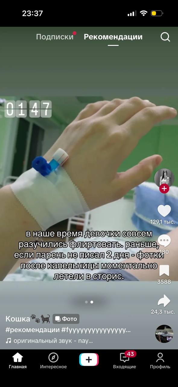 23:37 Подписки Рекомендации wit 1291 тыс в наше время aan разучились 2 CTOPUC 3988. 24,3 тыс Кошка Фото #рекомендации оригинальный звук nay oN Главная Интересное Входящие Профиль