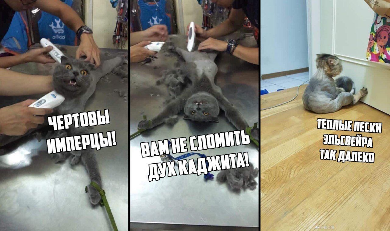 4 ТЕПЛЫЕ ПЕСКИ В TAK ДАЛЕКО 27