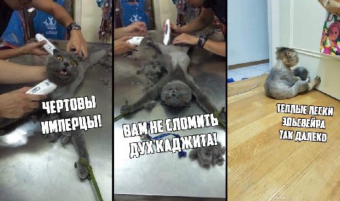 4 ТЕПЛЫЕ ПЕСКИ В TAK ДАЛЕКО 27