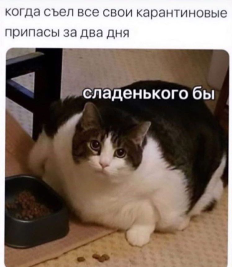 когда съел все свои карантиновые припасы за два дня сладенького бы