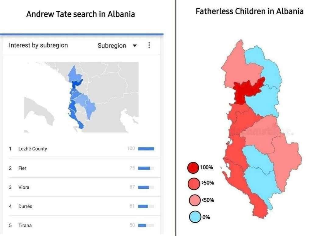 Fatherless Children in Albania Andrew Tate search in Albania Interest subregion Subregion Lezhé County Fier 10 Vlora Durrés Tirana